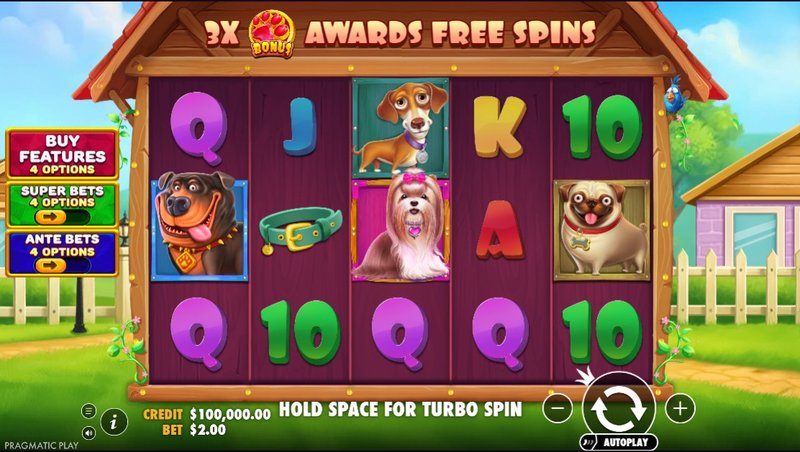 Spincastle casino - Is Spin Castle Casino the Real Deal for UK Slots?
